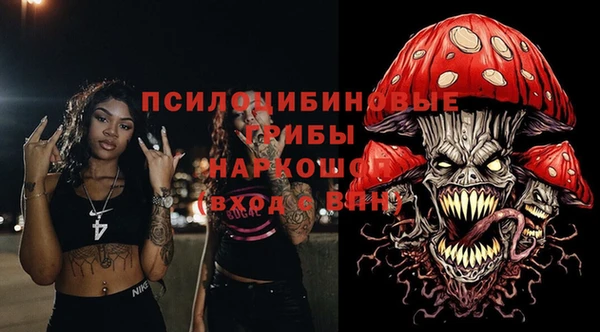 PSILOCYBIN Михайловск