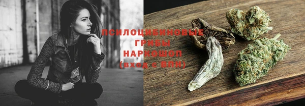 гидропоника Михайловка