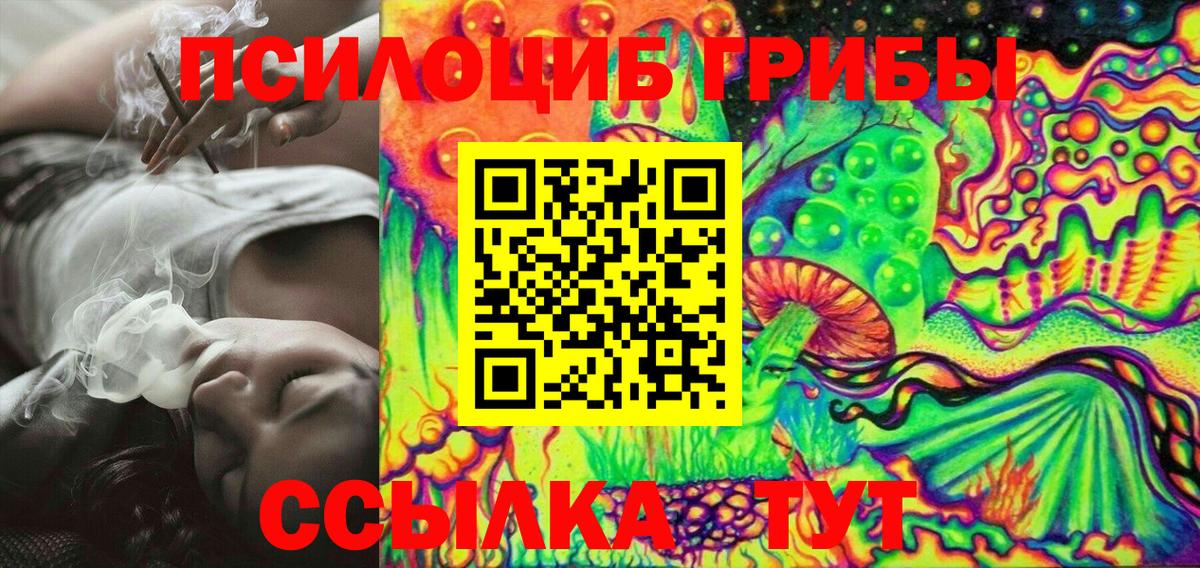 Кизилюрт  что такое   Вход с VPN  Псилоцибиновые грибы Psilocybe  Галлюциногенные грибы мухоморы 