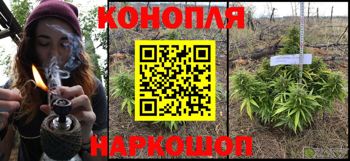 Шишки марихуана марихуана Кизилюрт